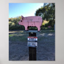 Search for funny pig posters Humour