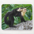 Search for small monkey mouse mats Black