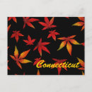 Search for connecticut postcards Autumn