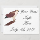Search for raptor invitations Hawk
