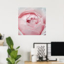 Search for soft rose art Flowers
