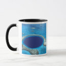 Search for reef mugs Coast
