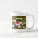 Search for mandarin duck mugs Waterfowl