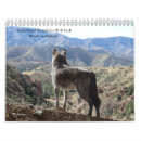 Search for wolf calendars Animals