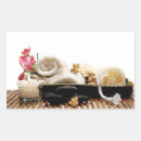 Search for paper towels stickers Spa