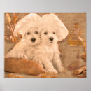 Search for chef pet art Dog