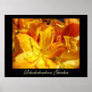 Search for rhododendron art Garden