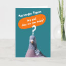Search for funny pigeon cards Pigeons