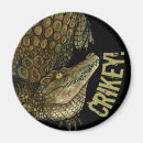 Search for croc magnets Animal