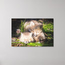 Search for wild fox canvas prints Young animal