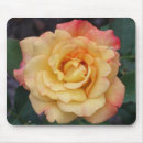 Search for hybrid mouse mats Rose