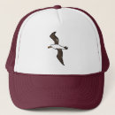 Search for bird flight hats Animal