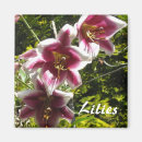 Search for lily magnets Colourful