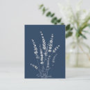 Search for aromatherapy postcards Flowers