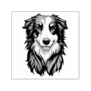 Search for border collie cartoon Adorable