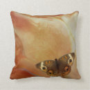 Search for moth cushions Orange