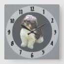 Search for lhasa apso art Animal