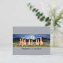 Search for watercolor rabbit postcards Colourful
