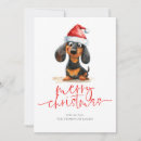 Search for dachshund merry christmas cards Weiner dog