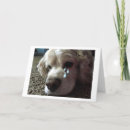 Search for heartbroken cards Crying