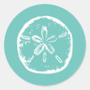 Search for sand dollars stickers Turquoise