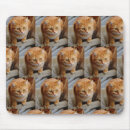 Search for pets mouse mats Cat