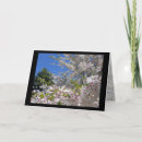 Search for flowering cherry tree cards Flowers
