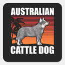 Search for blue heeler stickers Australian cattle dog