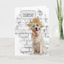 Search for straw cards Golden retriever