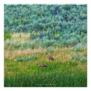 Search for crane bird posters Landscape