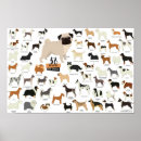 Search for dog breed posters Dogs