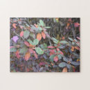 Search for fall puzzles Photography