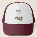 Search for spider hats Insect