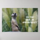 Search for appointments posters Animal