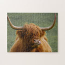 Search for highland cow puzzles Animal