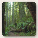 Search for growth coasters Forest