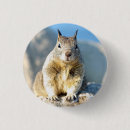 Search for gray squirrel badges Wildlife