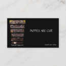 Search for mastiff business cards Cane corso