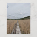 Search for reed postcards Landscape