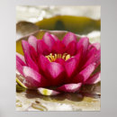 Search for selected art Pink