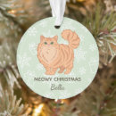 Search for cat lovers christmas tree decorations For her