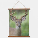 Search for rolf nussbaumer art Animal