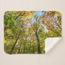 Search for danita delimont blankets Foliage
