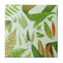 Search for fern leaf tiles Garden