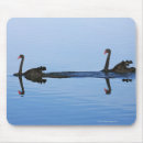 Search for birds horizontal standard mouse mats Animal