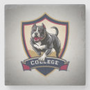 Search for run coasters Dog