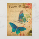 Search for butterfly postcards Carte postale