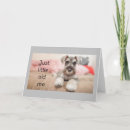 Search for schnauzer birthday cards Photography