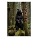 Search for animal totems posters Wildlife