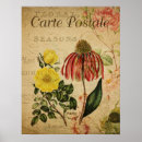 Search for rudbeckia posters Botanical